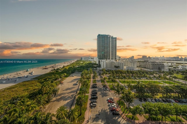2201 Collins Ave Unit 1128, Miami Beach, FL 33139 - water view with nearby beach and nearby urban area