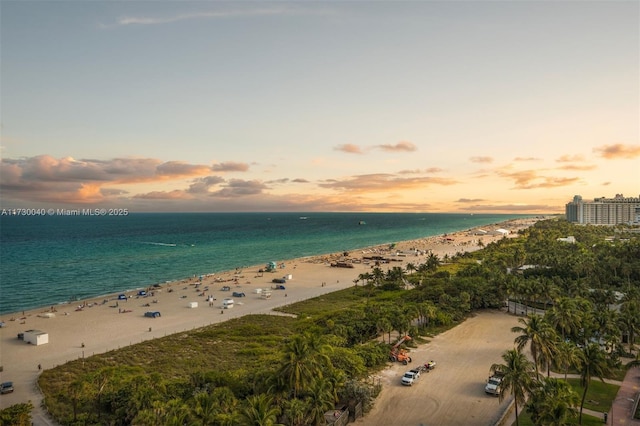 2201 Collins Ave Unit 1128, Miami Beach, FL 33139 - water view featuring nearby beach