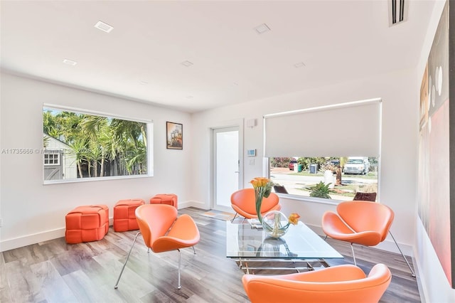 living area featuring light hardwood / wood-style floors