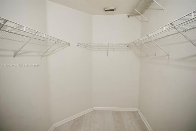 spacious closet featuring light wood-type flooring and visible vents