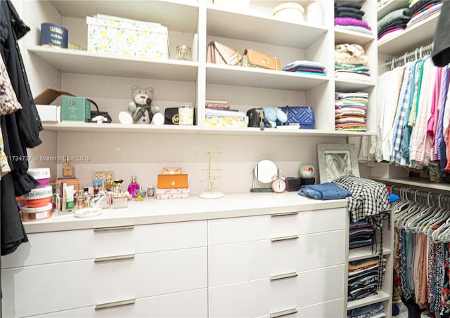 view of walk in closet