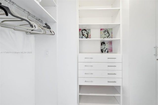 view of spacious closet