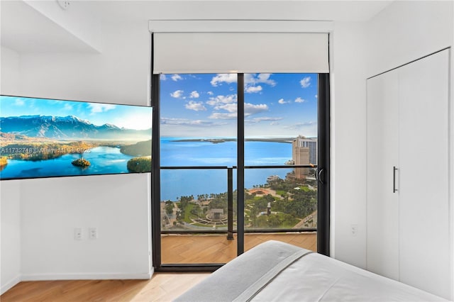 bedroom with a wall of windows and light hardwood / wood-style floors