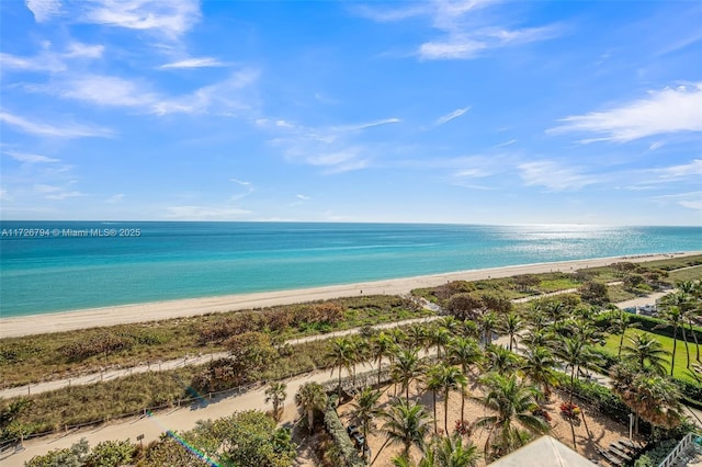 property view of water featuring a beach view