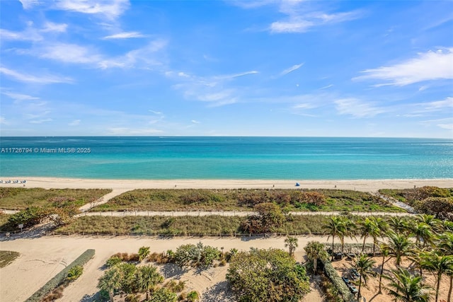 water view featuring a beach view