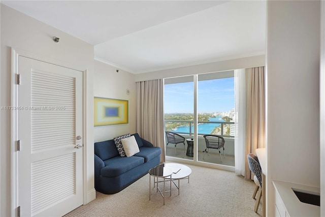 carpeted living room with ornamental molding and a water view