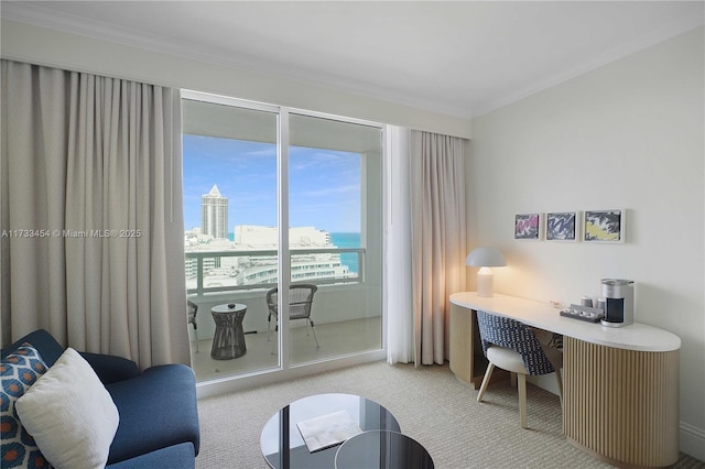 carpeted office featuring crown molding and a water view