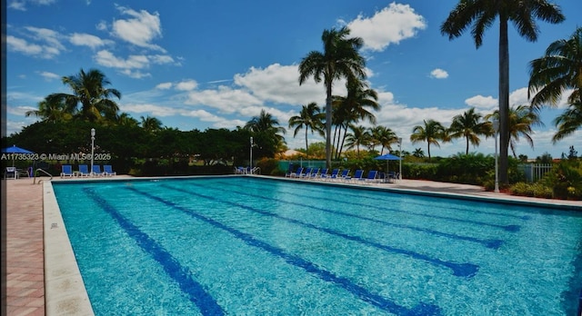 view of pool