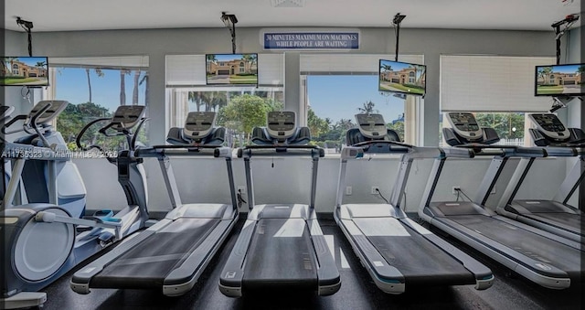 exercise room featuring plenty of natural light