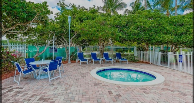 view of pool featuring a patio area