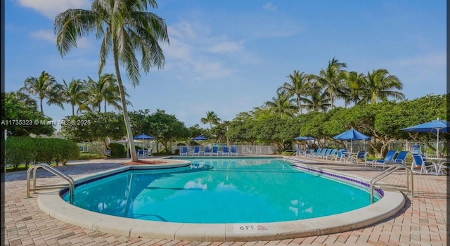 view of pool featuring a patio area