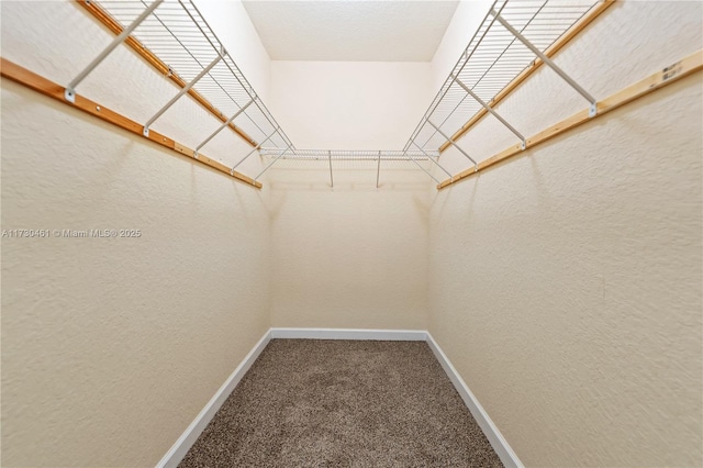 spacious closet with carpet flooring