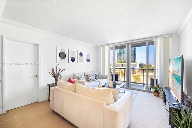 carpeted living room featuring ornamental molding, floor to ceiling windows, and a textured ceiling