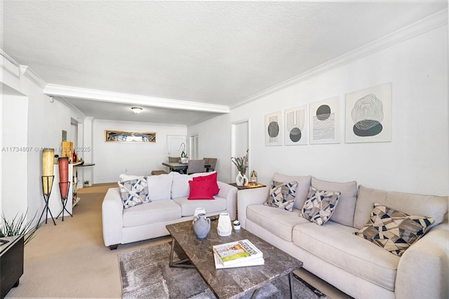 carpeted living room with crown molding and a textured ceiling