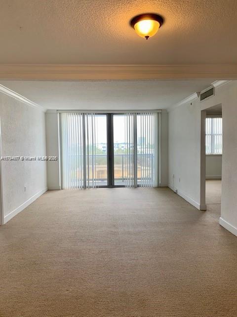 spare room with crown molding, light carpet, and a textured ceiling