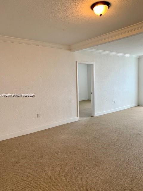 carpeted spare room with ornamental molding and a textured ceiling