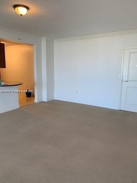 unfurnished room with crown molding, carpet floors, and a textured ceiling