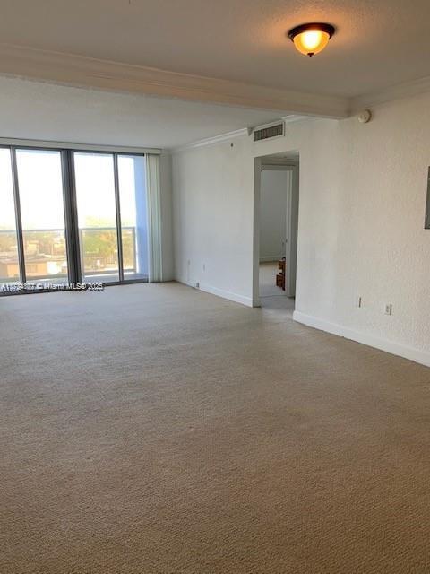 unfurnished room with crown molding and a textured ceiling