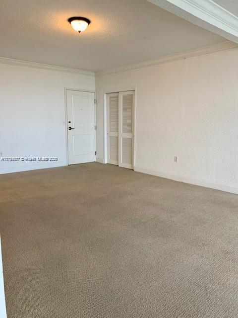 unfurnished room with crown molding, carpet floors, and a textured ceiling