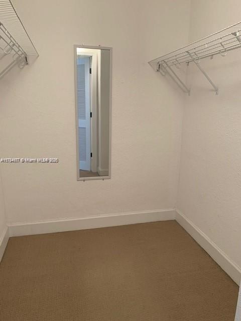 spacious closet with carpet flooring