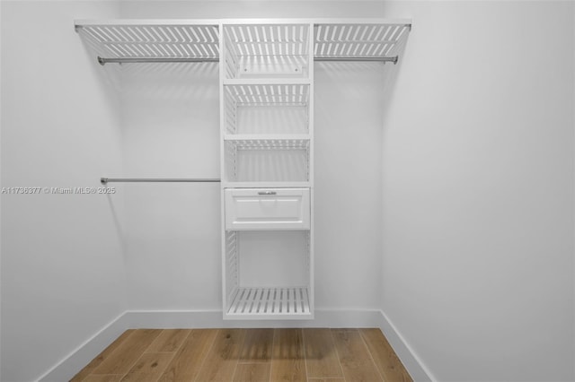 walk in closet featuring wood-type flooring