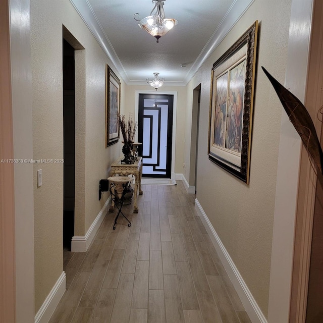 hall with crown molding and light hardwood / wood-style floors