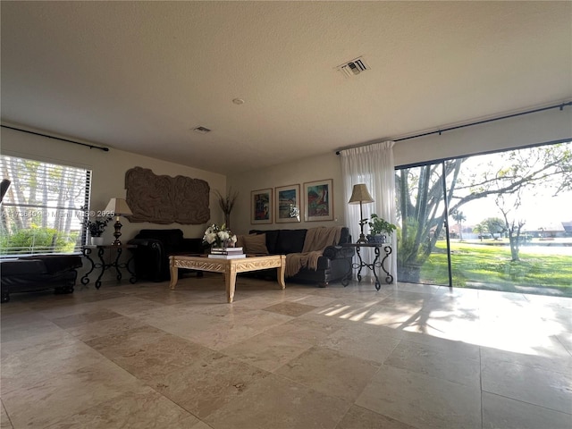 living room featuring a healthy amount of sunlight and a textured ceiling