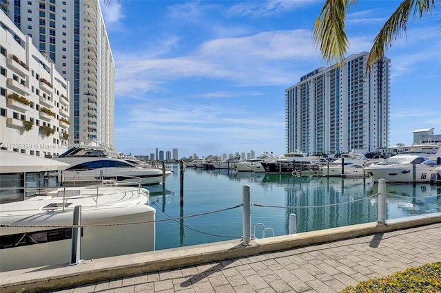 view of dock with a water view