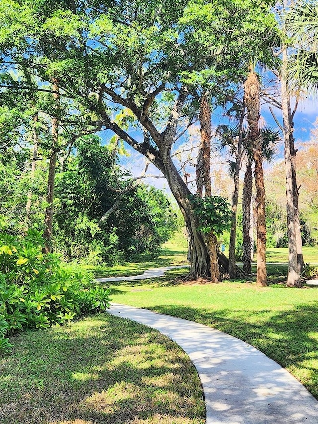 view of home's community featuring a yard