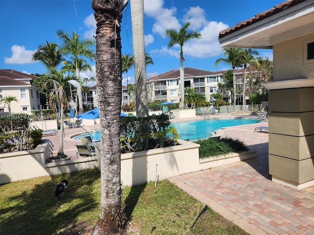 view of pool featuring a patio area