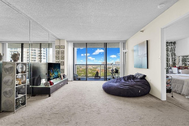 carpeted living room with floor to ceiling windows and a textured ceiling