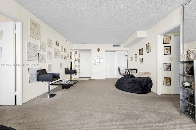 interior space with carpet and a textured ceiling