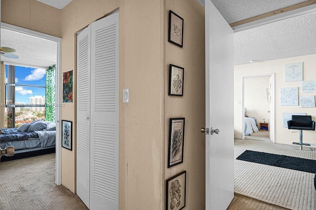 hall featuring carpet flooring and a textured ceiling