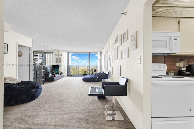 carpeted living room with floor to ceiling windows and a textured ceiling