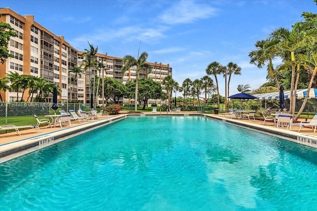 view of pool with a patio area