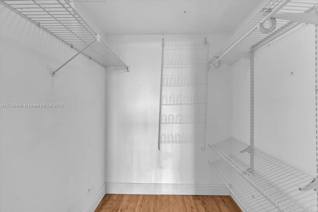 walk in closet with hardwood / wood-style flooring