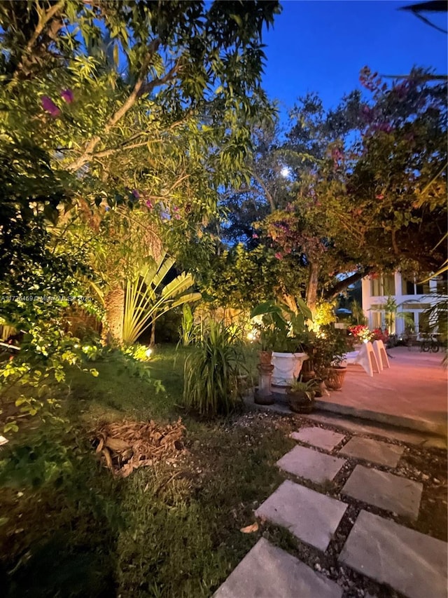 view of yard featuring a patio area