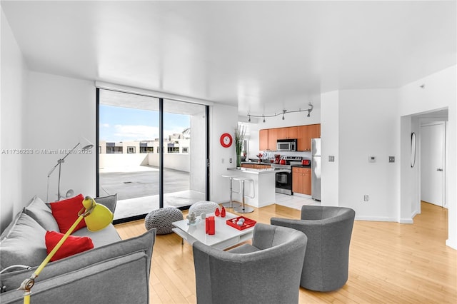 living room featuring track lighting, light hardwood / wood-style floors, and a wall of windows