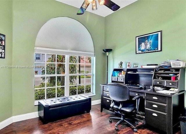 office featuring ceiling fan and dark hardwood / wood-style flooring