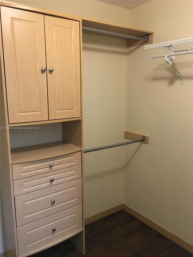 spacious closet featuring dark hardwood / wood-style flooring