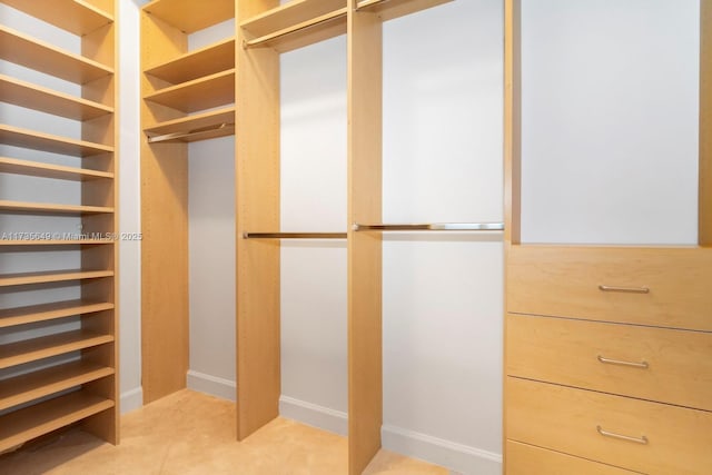 view of spacious closet