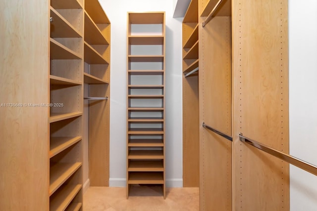 view of walk in closet