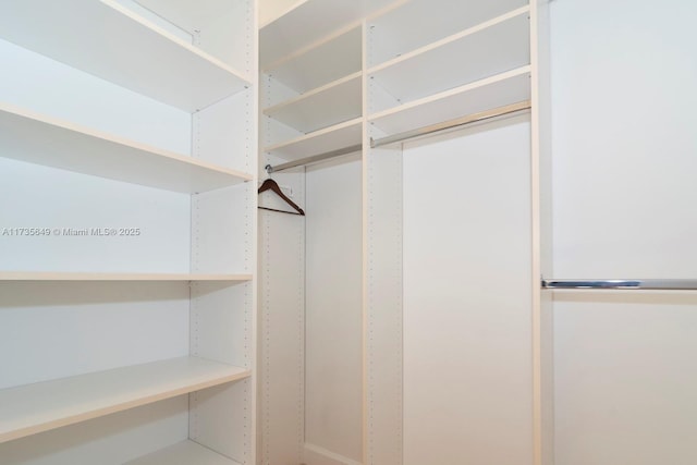 view of spacious closet