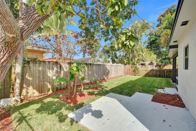 view of yard featuring a patio area