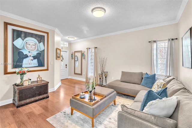 living room featuring crown molding, light hardwood / wood-style flooring, and a textured ceiling