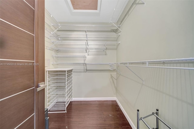 spacious closet with dark hardwood / wood-style flooring