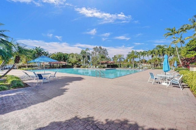 view of pool with a patio