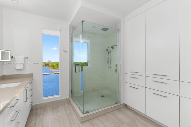 bathroom featuring vanity and an enclosed shower