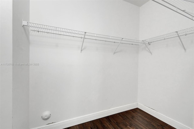 spacious closet featuring wood-type flooring