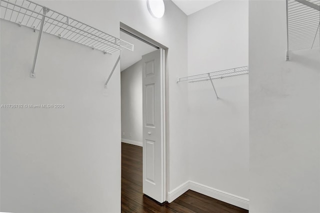 walk in closet featuring dark wood-type flooring